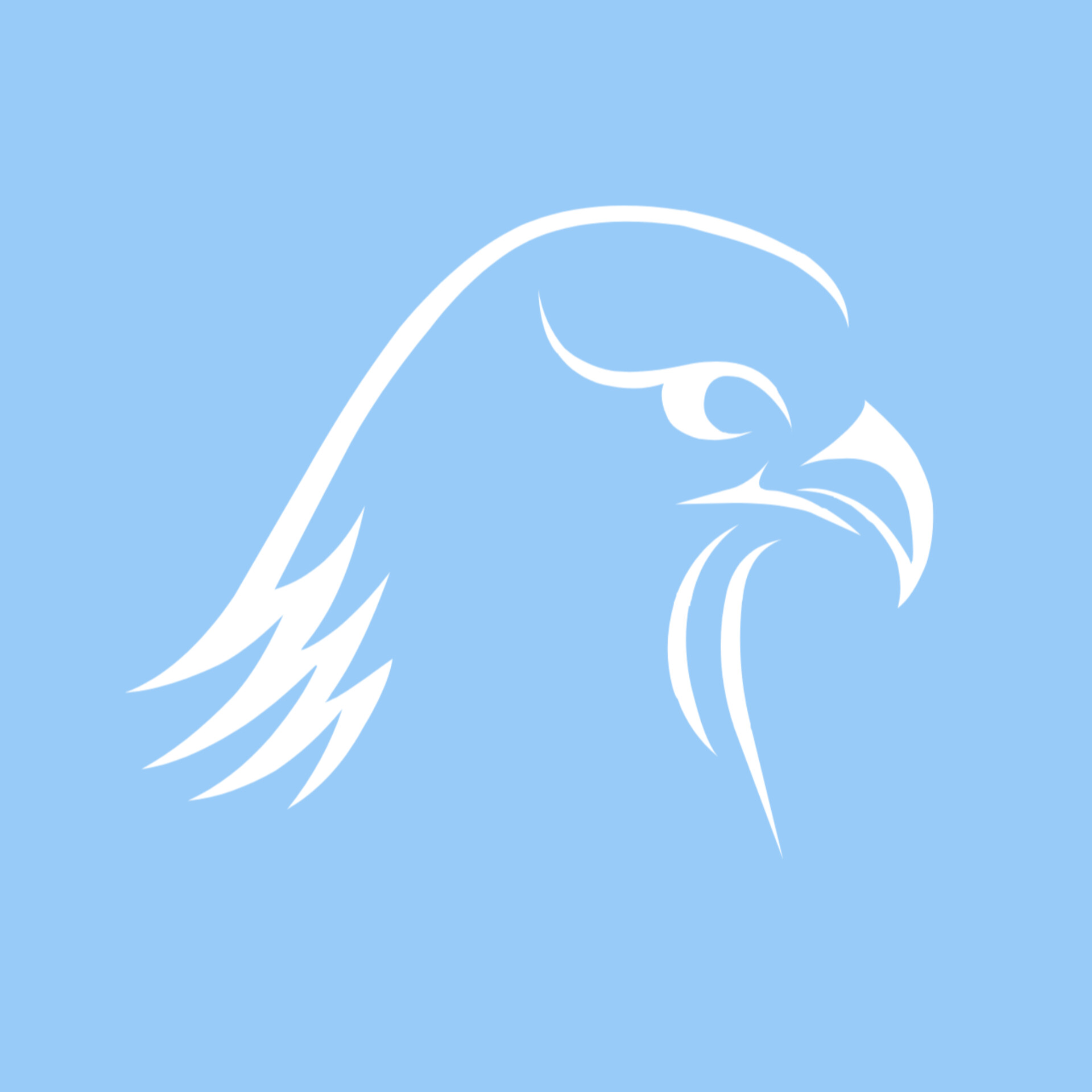 شبکه احتماعی بلون